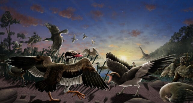 'Four-Winged' Raptor Discovery Solves a Long-Standing Predatory Dinosaur Mystery