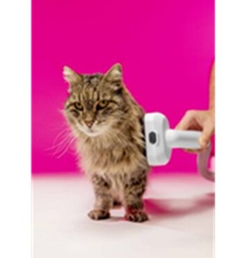 diagnóstico veterinário