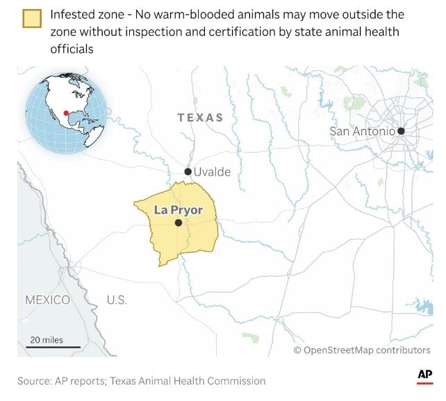 Flesh-Eating Parasite Returns to Texas For The First Time in Decades