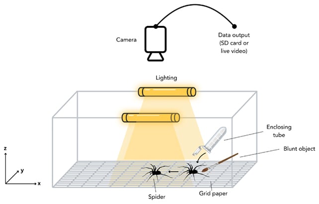 Sipder experiment setup