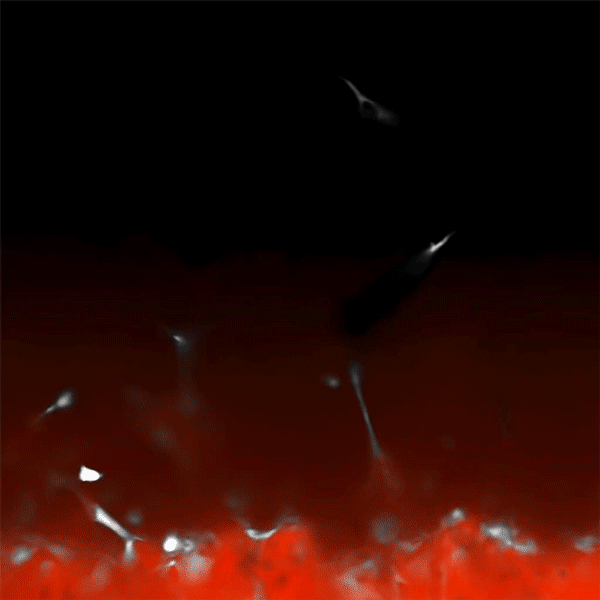 Animation of blood vessels rising up