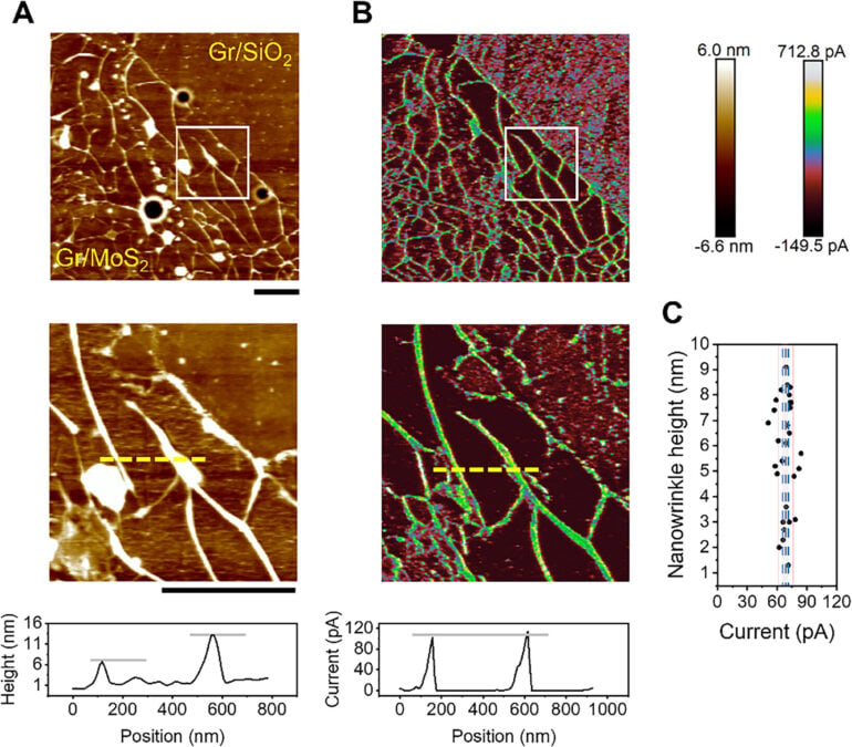 Tiny Wrinkles in Graphene Can Change The Wonder Material's Electrical Properties