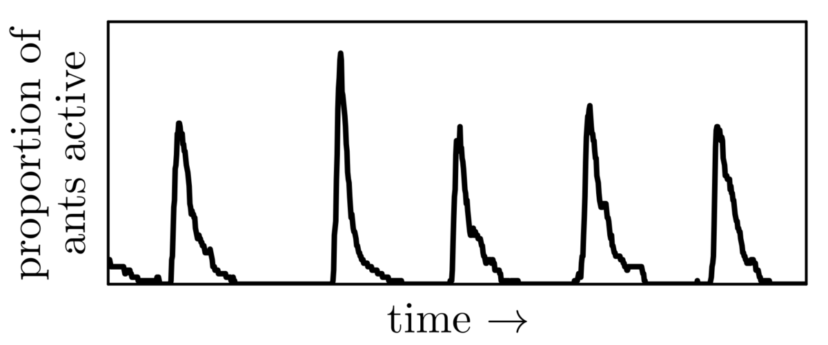 Graph showing repeated bursts of activity generated by a mathematical model of an ant colony.