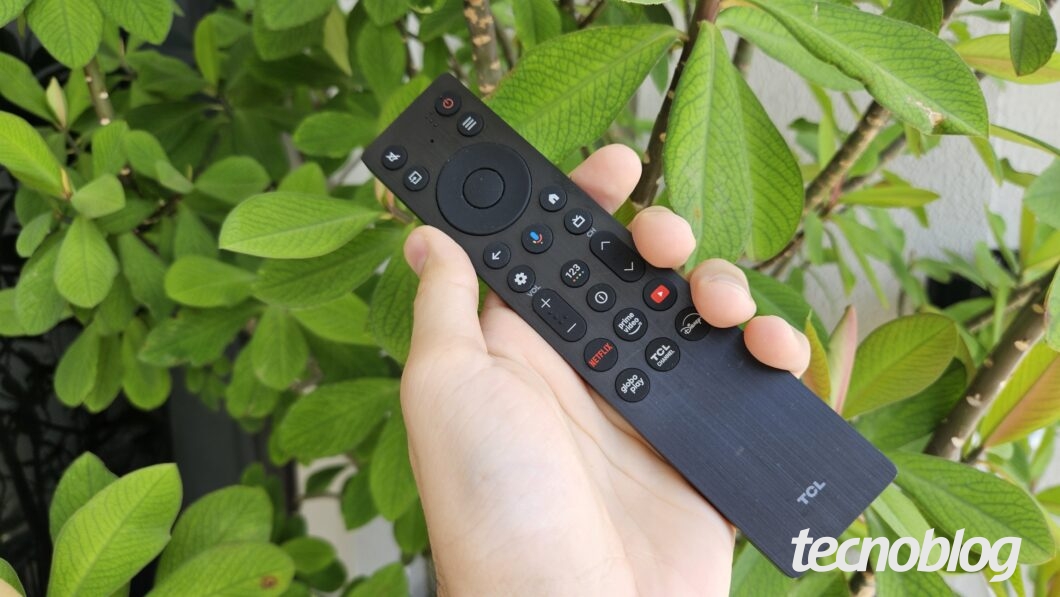 Controle remoto RC813A da TCL em frente a uma planta