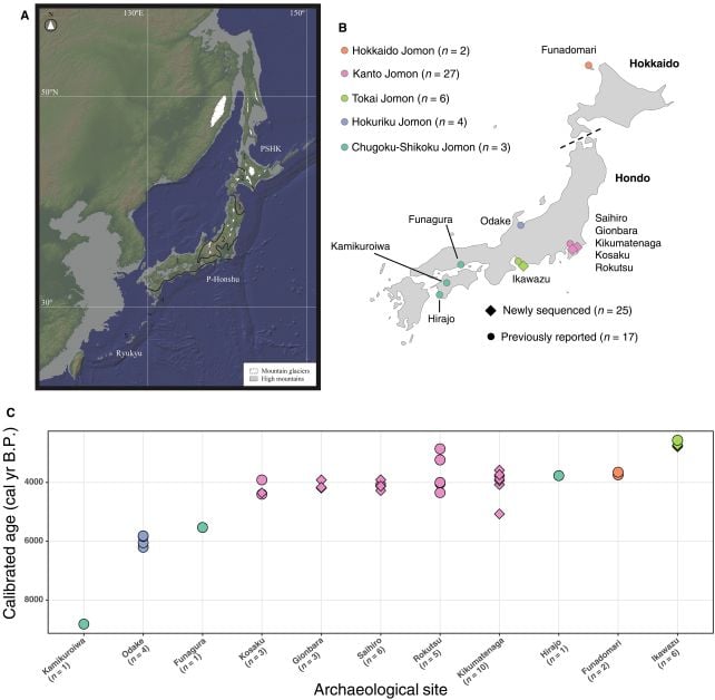 Ancient Humans May Have Evolved a Remarkable Trick to Survive The Last Ice Age