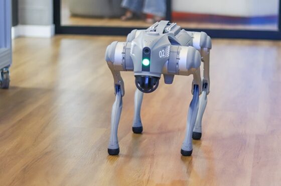 Semana de Inovação