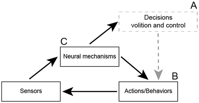 Decision map