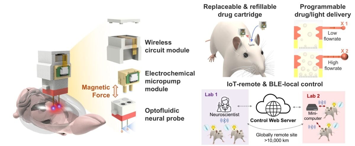 A Brain Implant in Korea Was Just Controlled From The US