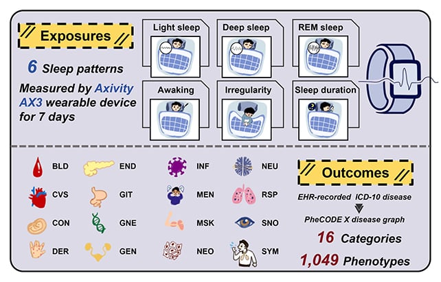 Sleep types