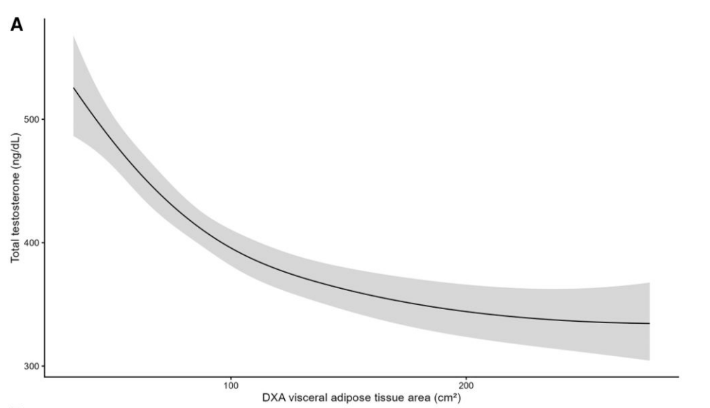 Low Testosterone Says Far More About Your Waistline Than Your Age