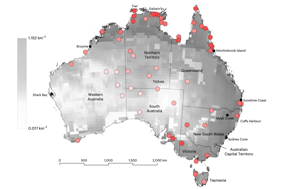 Australia's Pre-Invasion Indigenous Population Was Up to 7 Times Larger Than Thought, Study Finds