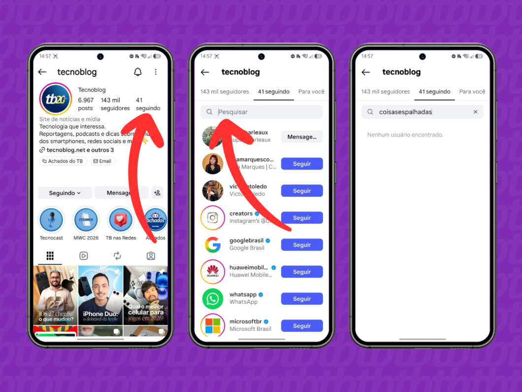 Verificando se a pessoa permanece na lista de "Seguindo" de outro perfil (imagem: Lupa Charleaux/Tecnoblog)