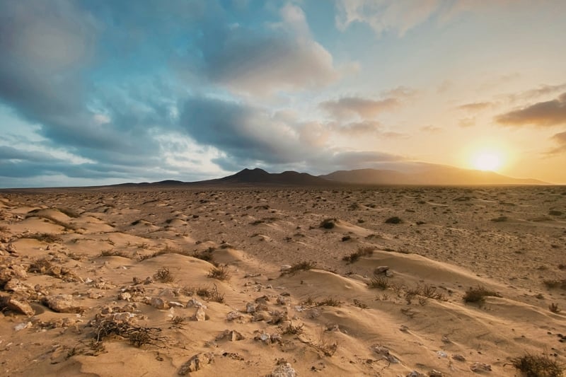 Over 40% of Earth Could Be Drylands by Century's End, Projections Show
