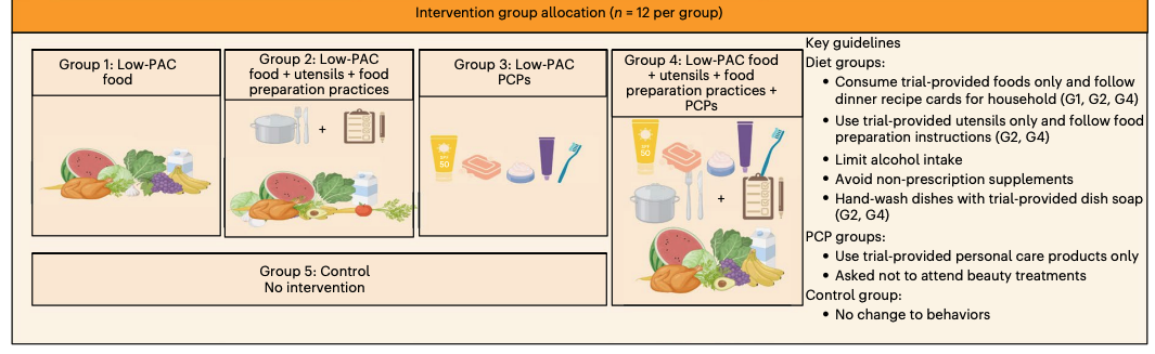 One Week of a Low-Plastic Diet Could Change The Chemical Levels in Your Urine