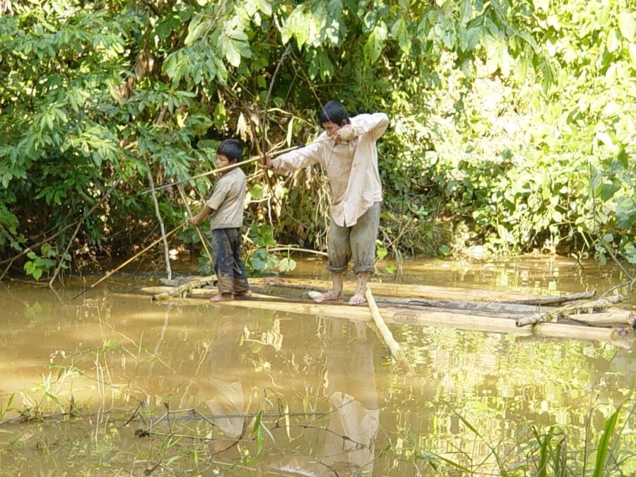 Two Remote Indigenous Amazon Communities Have Dementia Rates Below 2%