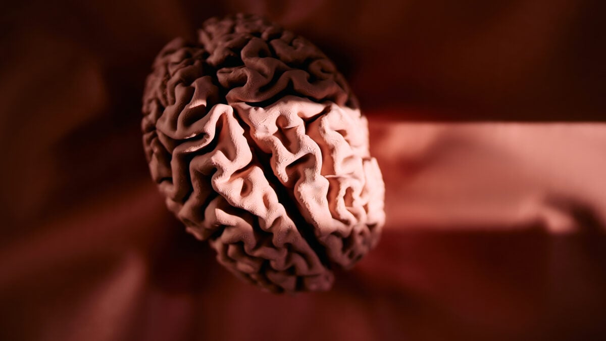 Brain wasting away