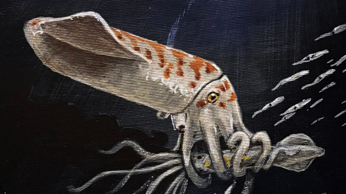 Scientists Have Found 'One of The Chunkiest' Squid-Like Creatures From The Jurassic