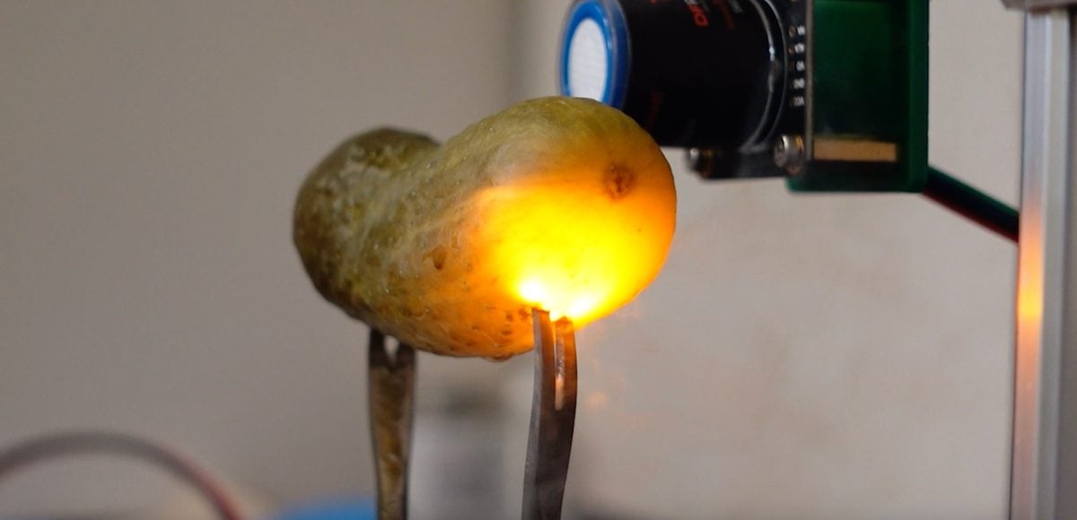 Pickle Power: We May Finally Know Why A Plugged-In Pickle Glows Like A Tiny, Salty Star
