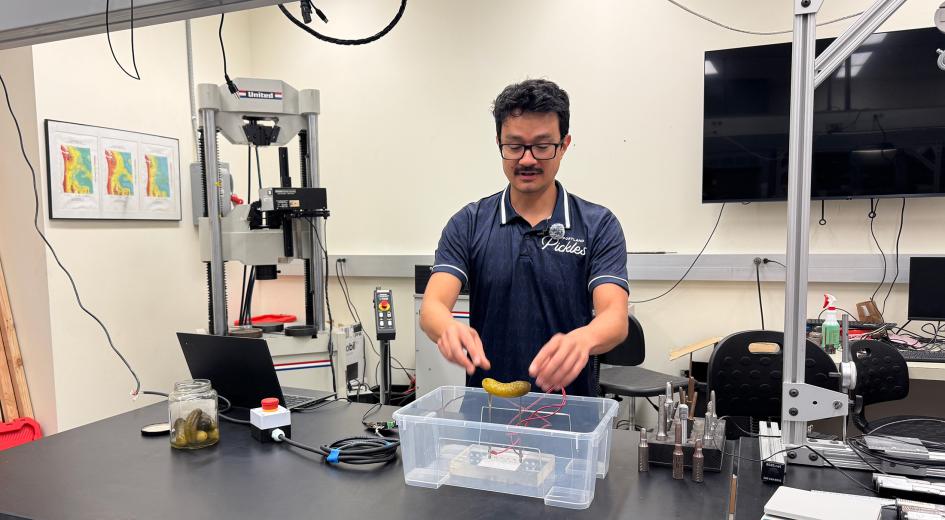 Pickle Power: We May Finally Know Why A Plugged-In Pickle Glows Like A Tiny, Salty Star