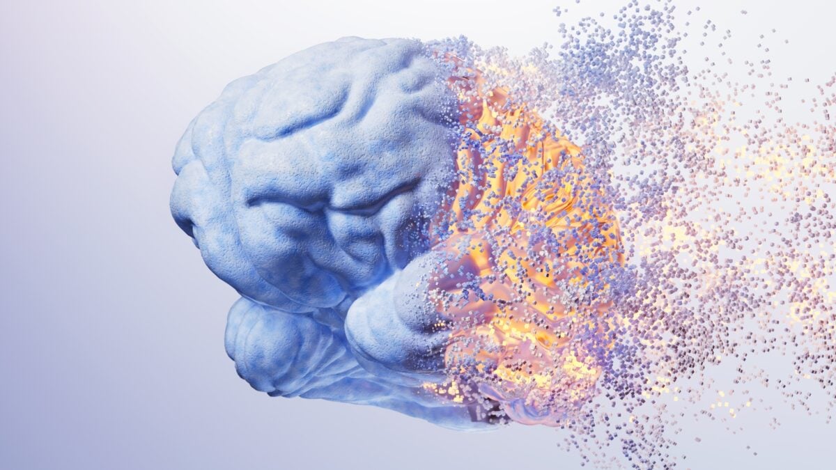 Alcohol Doesn't Just Affect Neurons – It Triggers Immune Cells to Destroy The Brain's Structural Matrix, Mouse Study Shows