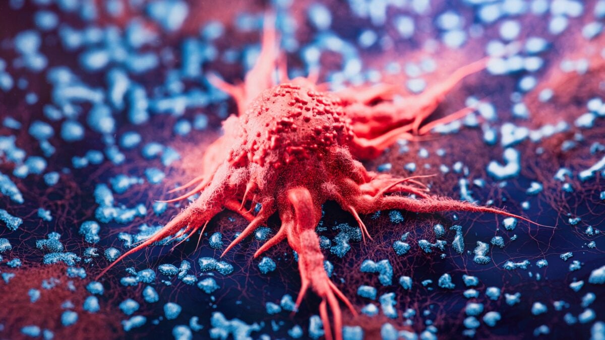 Traditional Chinese Medicine Formula Kills Drug-Resistant Cancer Cells in The Lab